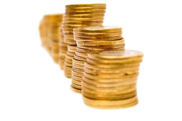 Profitabilitys Pulse: Governing Enterprise Financial Trajectories