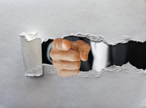 Systemic Agility: Innovating Operations For Sustainable Value