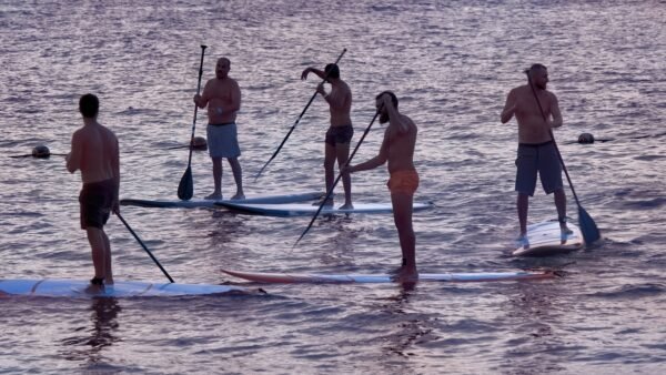 Legacy & Horizon: Strategic Stewardship In Senior Leadership