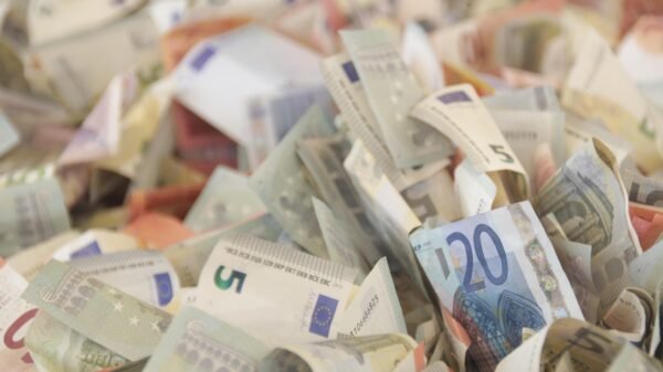 Profit & Loss: The Anatomy Of Sustainable Growth