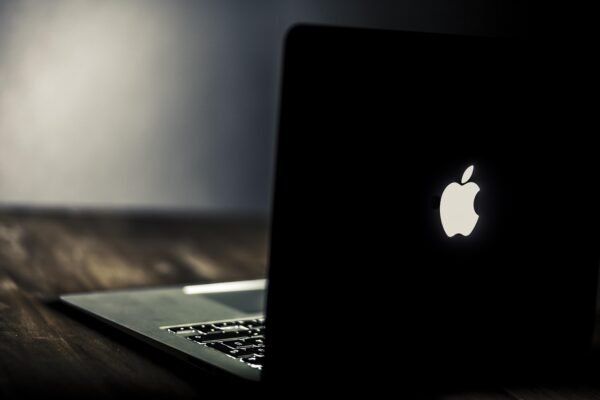 Borderless Careers: Reimagining Expertise In The Digital Economy