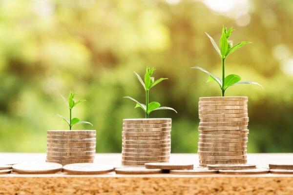 Vesting, Volatility, And Your 401k Wealth Trajectory