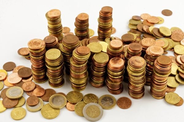 Fiscal Futures: Decoding Taxs Unseen Economic Footprint