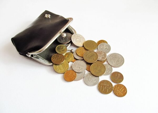 Profit And Loss: Behavioral Economics And Fiscal Outcomes
