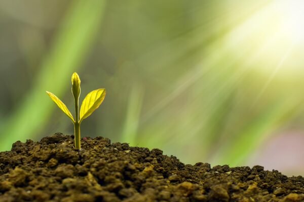 Profits Architecture: Building Resilient Margins In Uncertainty
