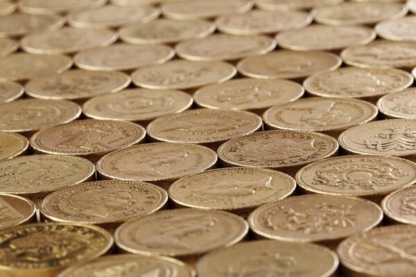 Adaptive Capital: Architecting Enduring Financial Resilience.