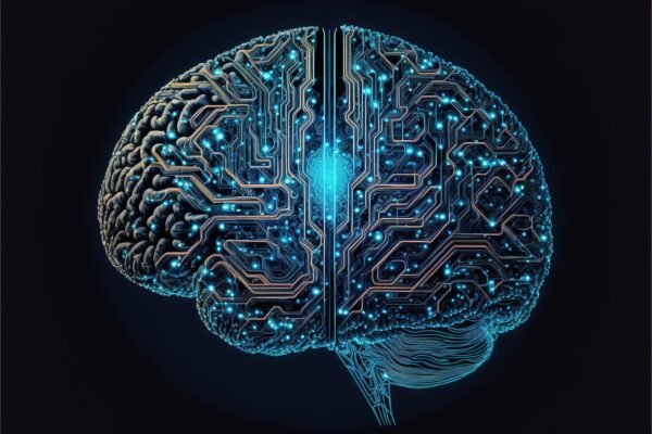 Datas Crucible: Forging Resilient Machine Learning Models