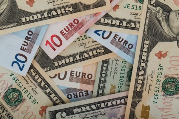 Navigating Financial Entropy: Building Resilient Personal Portfolios
