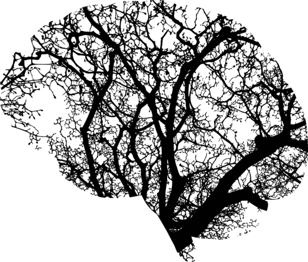 PyTorch: Agile Development Meets Industrial-Scale AI Deployment